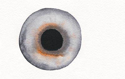 Eye illustration from the Daylight and Architecture magazine